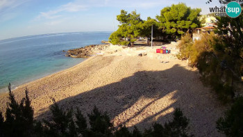 Snímek    1.11.2025 v 08:30