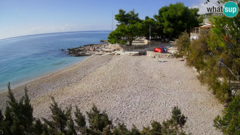 Snímek    1.11.2025 v 11:45