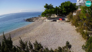 Snímek    1.11.2025 v 12:00