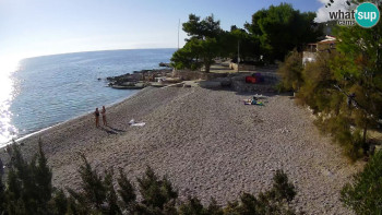 Snímek    1.11.2025 v 14:00