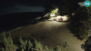 Snímek    3.11.2025 v 01:45