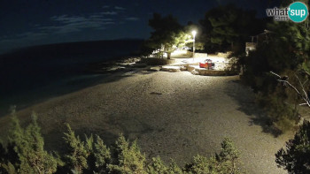 Snímek    3.11.2025 v 23:15