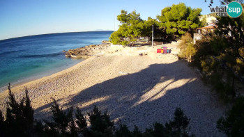 Snímek    4.11.2025 v 08:15