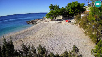 Snímek    4.11.2025 v 10:45