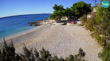 Snímek    4.11.2025 v 11:30