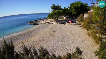 Snímek    4.11.2025 v 12:30