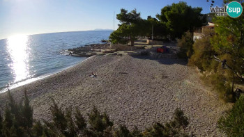 Snímek    4.11.2025 v 14:45