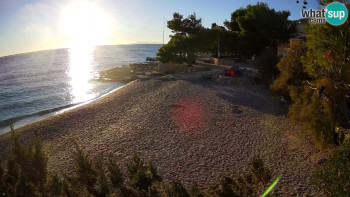 Snímek    4.11.2025 v 16:00