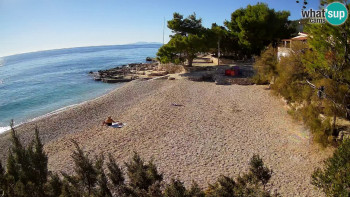 Snímek 5.11.2025 v 13:30