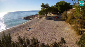 Snímek 5.11.2025 v 14:15