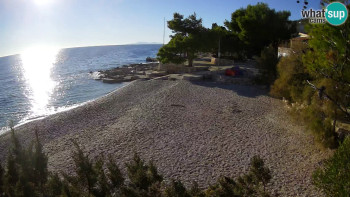 Snímek 5.11.2025 v 15:00