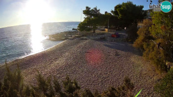 Snímek 5.11.2025 v 15:45