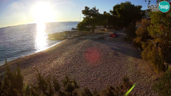 Snímek 5.11.2025 v 16:00