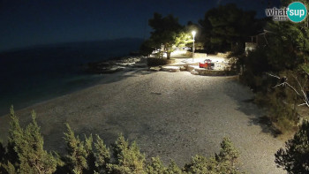 Snímek 5.11.2025 v 23:45