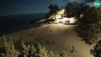 Snímek 6.11.2025 v 05:30