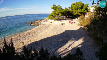 Snímek 6.11.2025 v 08:30