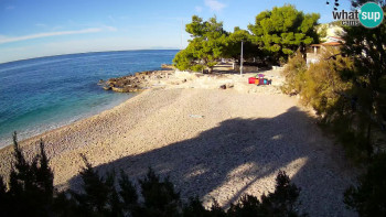 Snímek 6.11.2025 v 08:45