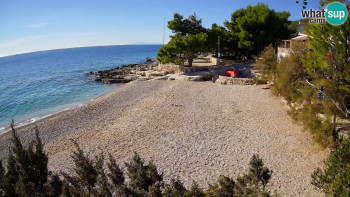 Snímek 6.11.2025 v 12:30