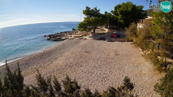 Snímek 6.11.2025 v 13:30