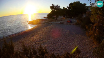 Snímek 6.11.2025 v 16:30