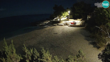 Snímek 7.11.2025 v 01:30