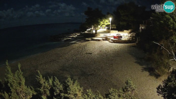 Snímek 7.11.2025 v 02:15