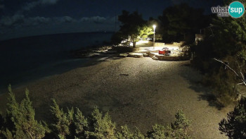 Snímek 7.11.2025 v 02:30