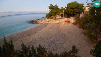 Snímek 7.11.2025 v 06:15