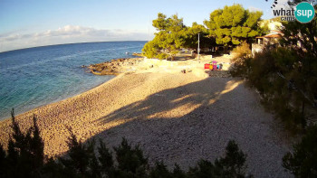 Snímek 7.11.2025 v 08:00