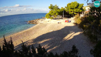 Snímek 7.11.2025 v 08:15