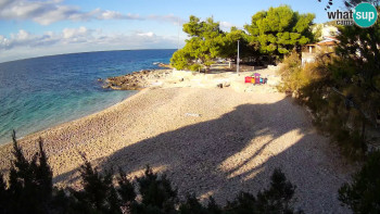 Snímek 7.11.2025 v 08:30