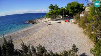 Snímek 7.11.2025 v 10:45