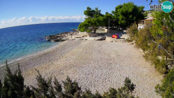 Snímek 7.11.2025 v 11:30