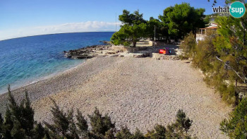 Snímek 7.11.2025 v 12:00