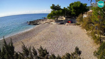 Snímek 7.11.2025 v 12:45