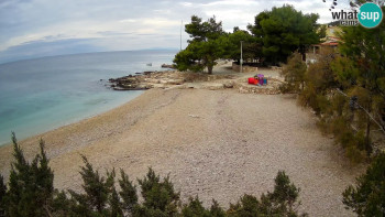 Snímek 8.11.2025 v 07:15