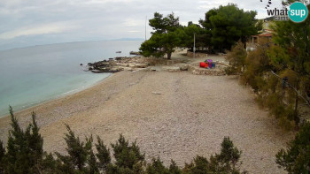 Snímek 8.11.2025 v 08:45