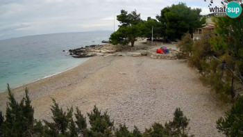 Snímek 8.11.2025 v 09:15