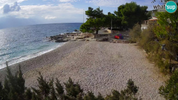 Snímek 8.11.2025 v 13:15