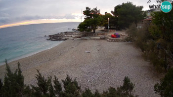 Snímek 8.11.2025 v 16:45