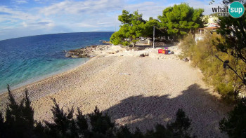 Snímek 9.11.2025 v 09:30