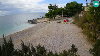 Snímek 9.11.2025 v 12:00