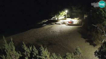 Snímek 14.11.2025 v 05:15