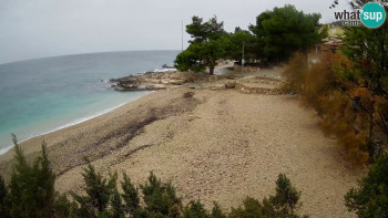 Snímek 18.11.2025 v 14:30