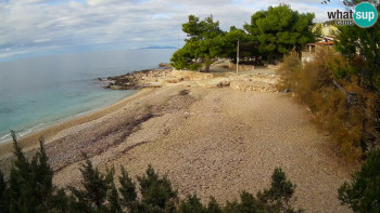 Snímek 19.11.2025 v 08:30