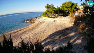 Ivan Dolac - Pláž - 15.12.2025 v 08:45 Ivan Dolac - Pláž - 15.12.2025 v 08:45