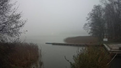 Kisajno, Port Sailor