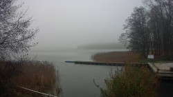 Kisajno, Port Sailor