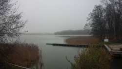 Kisajno, Port Sailor