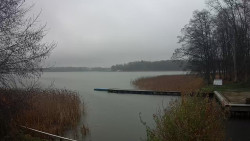 Kisajno, Port Sailor